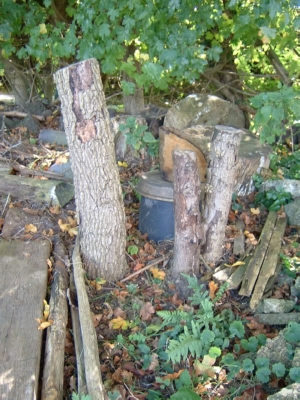 Vertically buried elm logs.<br> Man-made Bumblebee nest (awaiting tenants)